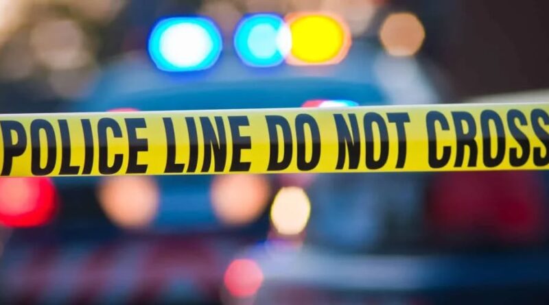 Janet Gretzky Accident, Death: